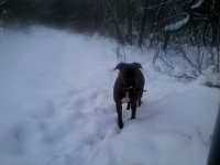 Daleko jeszcze  Daleko jeszcze